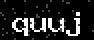 verify code