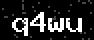 verify code
