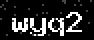 verify code