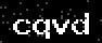 verify code