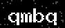 verify code