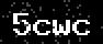 verify code