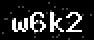 verify code
