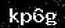 verify code