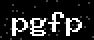 verify code