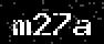 verify code