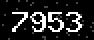 verify code