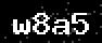 verify code