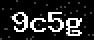 verify code