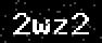 verify code