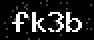 verify code