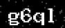 verify code