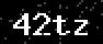 verify code
