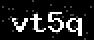 verify code