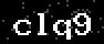verify code