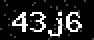 verify code