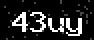 verify code