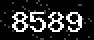 verify code