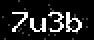 verify code