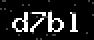 verify code