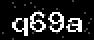 verify code