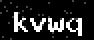 verify code