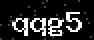 verify code