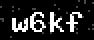 verify code