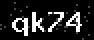 verify code