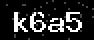 verify code