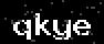 verify code