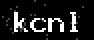 verify code