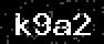 verify code