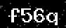 verify code