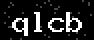 verify code