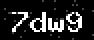 verify code