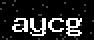 verify code