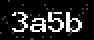 verify code