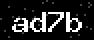 verify code