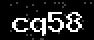 verify code