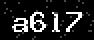 verify code