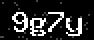 verify code