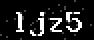 verify code