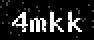 verify code