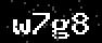 verify code