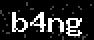 verify code