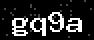 verify code