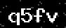 verify code