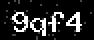 verify code
