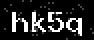 verify code